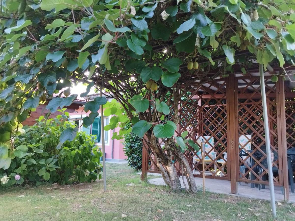 La Casina Villa Barga Luaran gambar